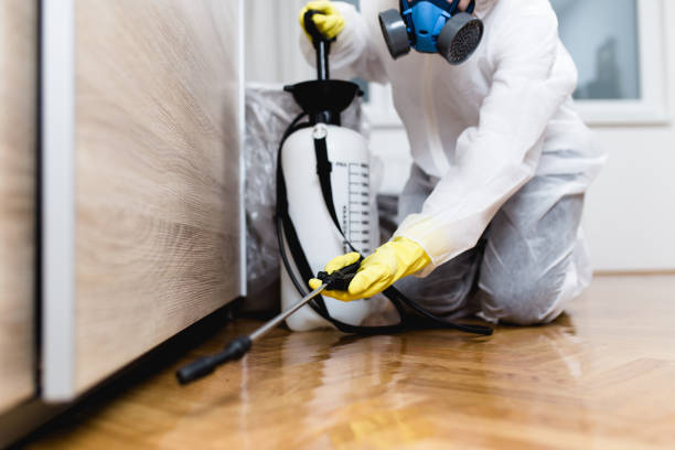 Best Best Pest Control Companies  in Pensacola Station, FL